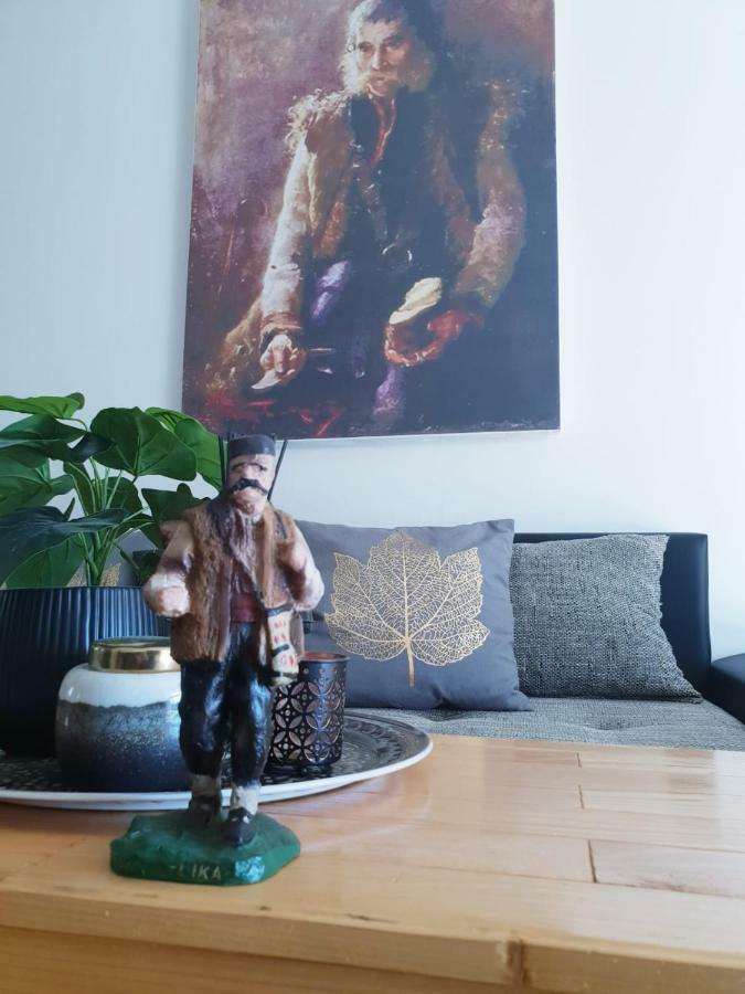 Apartmani Andrej Udbina エクステリア 写真